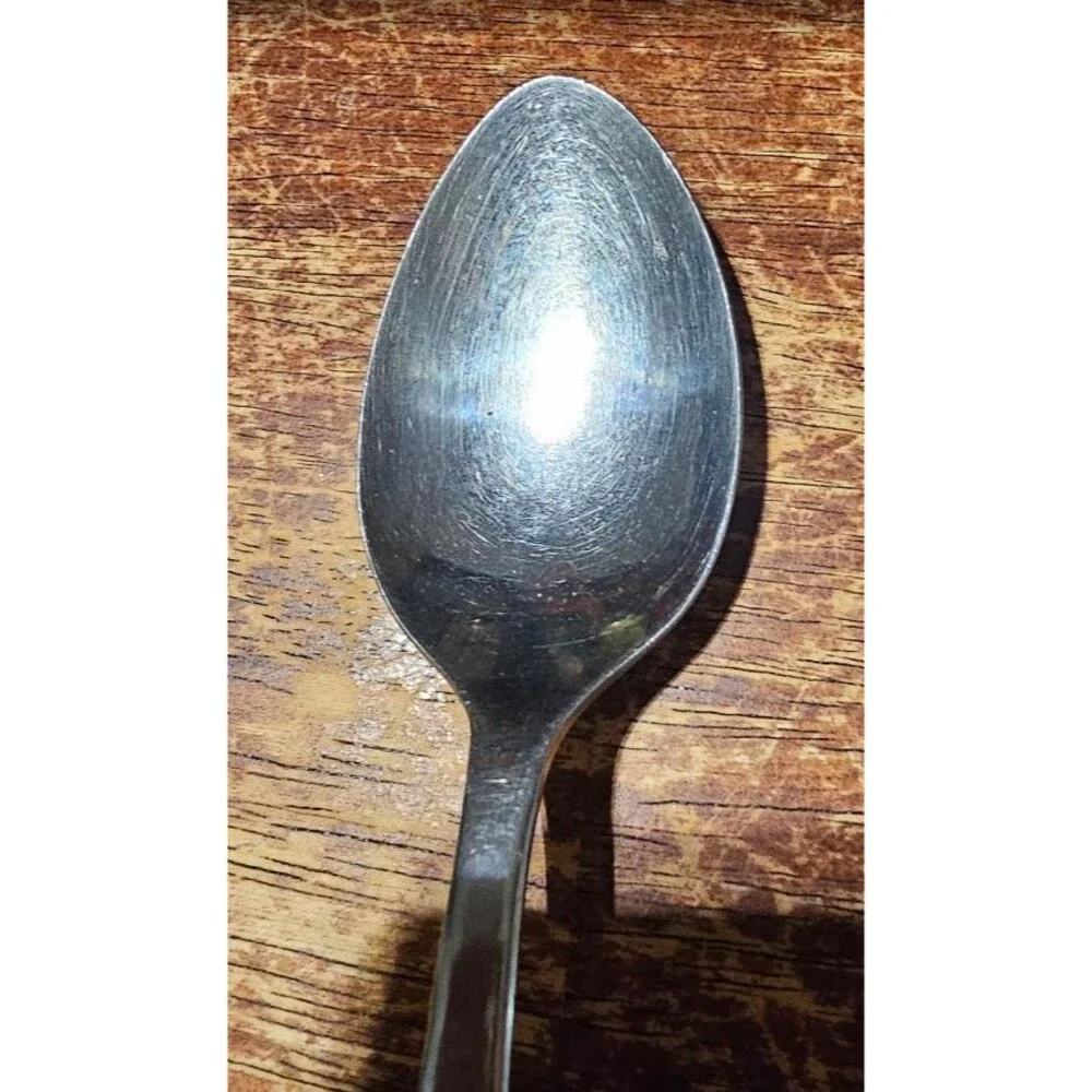 VTG ROGERS Stanley Roberts CASA VISTA Stainless Dinner Teaspoon Spoon Japan MCM